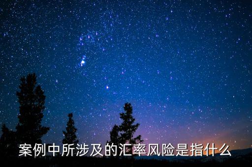 案例中所涉及的匯率風(fēng)險是指什么