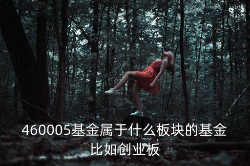 富國天益價(jià)值重倉什么板塊，460005基金屬于什么板塊的基金比如創(chuàng)業(yè)板