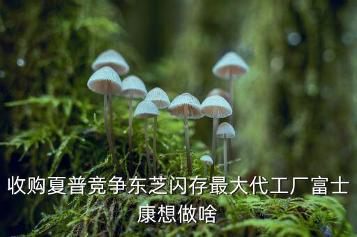 郭臺(tái)銘為什么要收購(gòu)夏普，如果松下索尼夏普倒閉了中國(guó)公司能收購(gòu)他們的品牌嗎