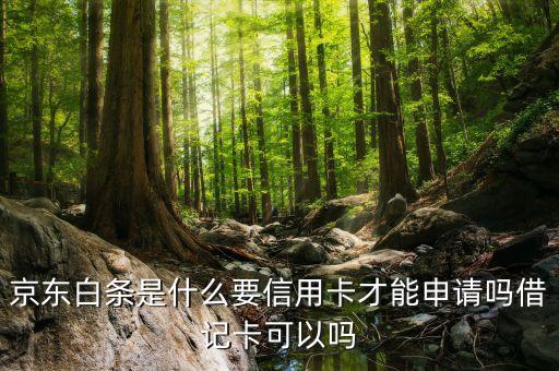 京東白條有什么要求，京東白條是什么要信用卡才能申請(qǐng)嗎借記卡可以嗎