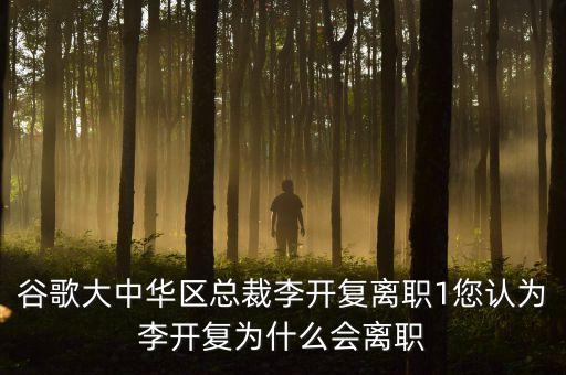 谷歌大中華區(qū)總裁李開復離職1您認為李開復為什么會離職