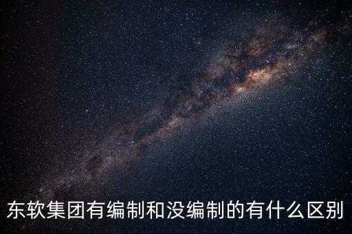 東軟集團(tuán)有編制和沒編制的有什么區(qū)別