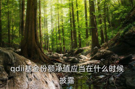 qdii基金份額凈值應(yīng)當在什么時候披露