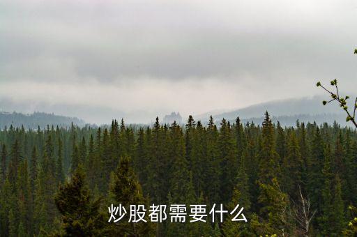 炒股都需要什么