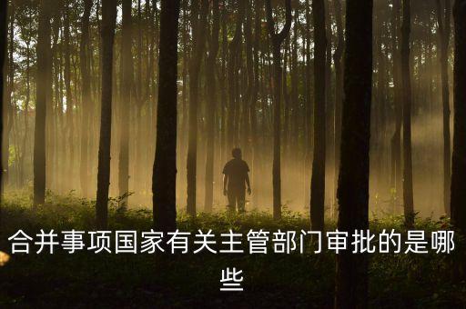 企業(yè)兼并重組必須什么部門批準，合并事項國家有關(guān)主管部門審批的是哪些