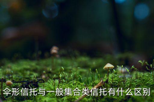傘形信托與一般集合類信托有什么區(qū)別