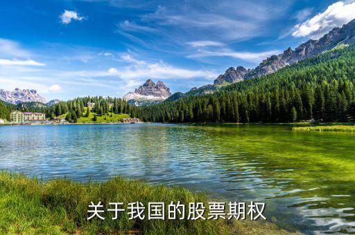 我國都有什么關(guān)于期權(quán)的會(huì)議，我國已推出的期權(quán)有哪些