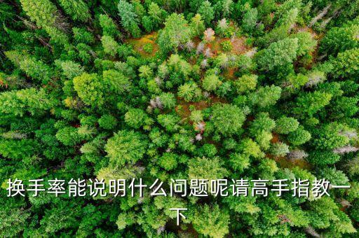 換手率能說明什么問題呢請高手指教一下