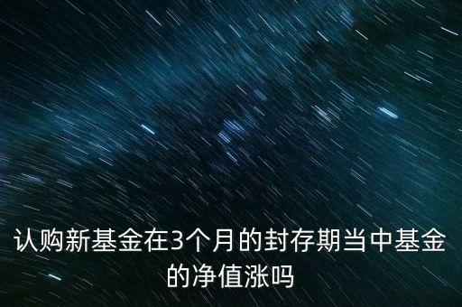基金追加認(rèn)購凈值有什么變化，基金募集期內(nèi)基金凈值有變化嗎