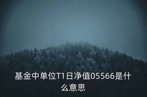 單位t1日凈值是什么意思，基金中單位T1日凈值05566是什么意思