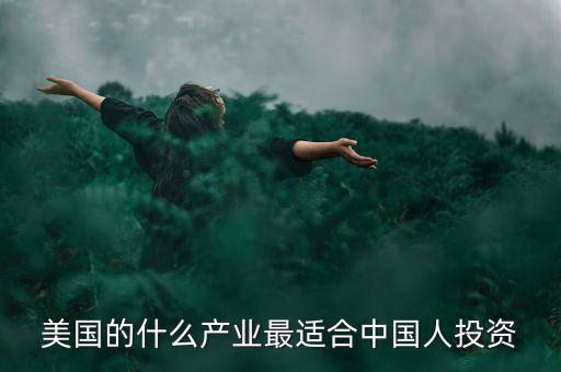 美國的什么產(chǎn)業(yè)最適合中國人投資