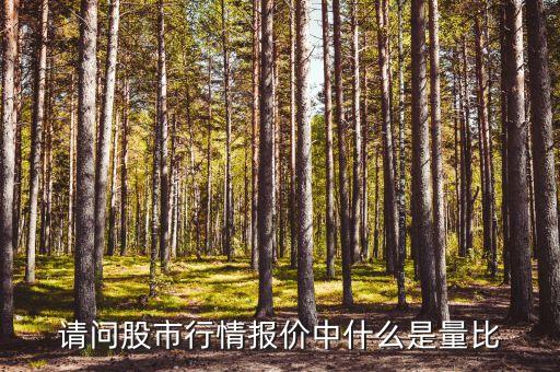 即時(shí)量比是什么意思，量比是什么意思