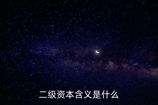 什么是次級資本，二級資本含義是什么