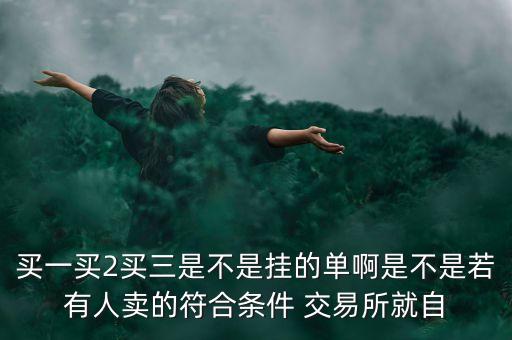 買一買2買三是不是掛的單啊是不是若有人賣的符合條件 交易所就自
