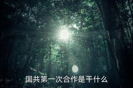 齊星鐵塔做什么，國(guó)共第一次合作是干什么
