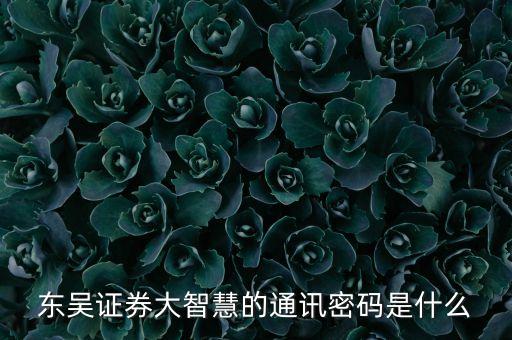 東吳證券通訊密碼是什么，剛剛在東吳證券網(wǎng)上開戶怎么通訊密碼不正確呢