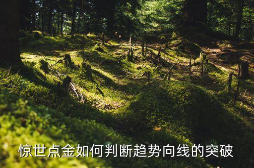 驚世點(diǎn)金如何判斷趨勢(shì)向線(xiàn)的突破