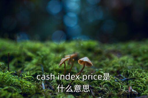cash index price是什么意思