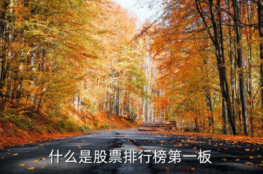 世界股市排名第一的是什么股，什么是股票排行榜第一板