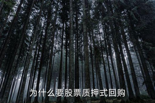為什么要股票質(zhì)押式回購