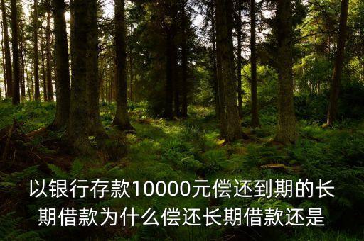 以銀行存款10000元償還到期的長(zhǎng)期借款為什么償還長(zhǎng)期借款還是