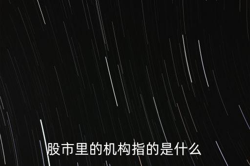 股票機構(gòu)是什么意思，股市里的機構(gòu)指的是什么
