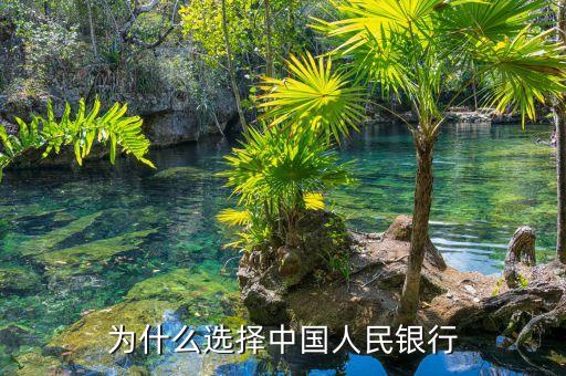 為什么選擇銀行，為什么選擇了銀行