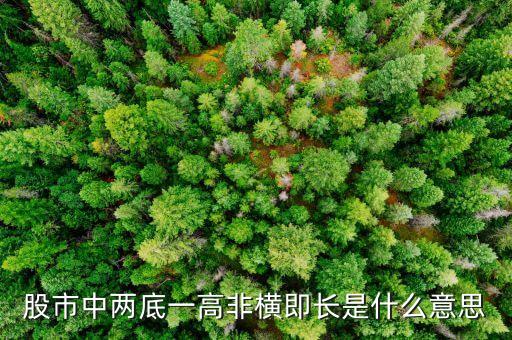 股市中兩底一高非橫即長是什么意思