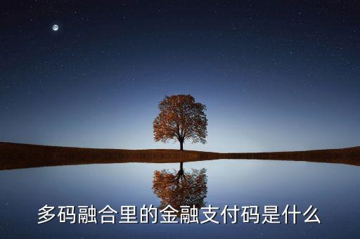 多碼融合里的金融支付碼是什么