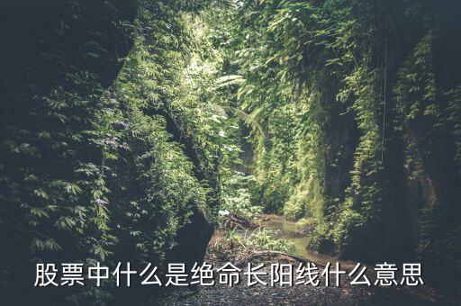 什么是奪命長(zhǎng)陽(yáng)，什么是奪命長(zhǎng)陽(yáng)