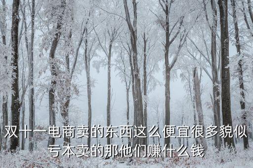 雙十一電商賣(mài)的東西這么便宜很多貌似虧本賣(mài)的那他們賺什么錢(qián)