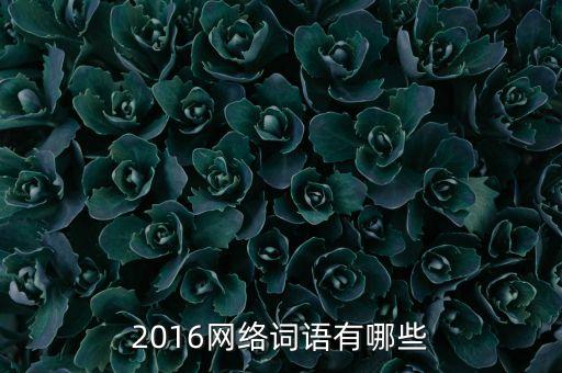 2016會(huì)有什么熱詞，2016網(wǎng)絡(luò)詞語有哪些
