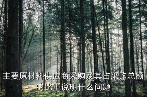 主要原材料供應(yīng)商采購(gòu)及其占采購(gòu)總額的比重說明什么問題