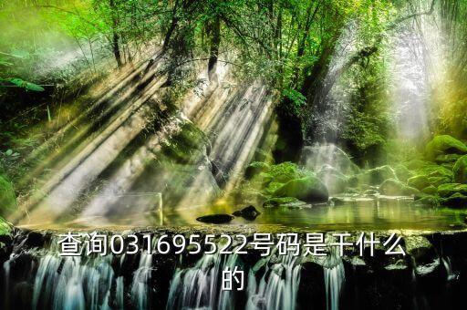 查詢031695522號碼是干什么的