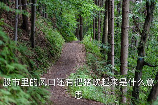 股市里的風(fēng)口還有把豬吹起來是什么意思