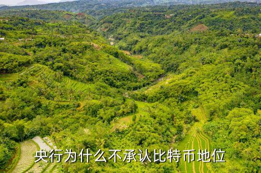 為什么中央不承認比特，中美為什么不承認比特幣的合法性