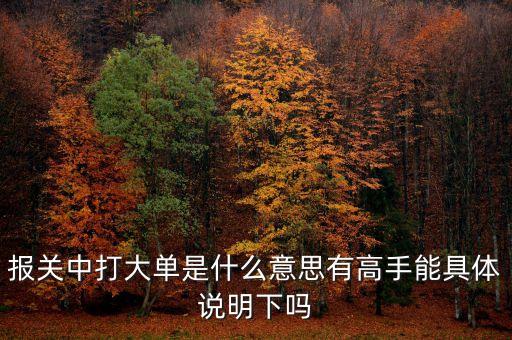 報(bào)關(guān)中的大單是什么意思，報(bào)關(guān)單里打大單是指哪些單怎么打