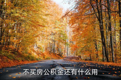 公積金除了買房還有什么用途，不買房公積金還有什么用