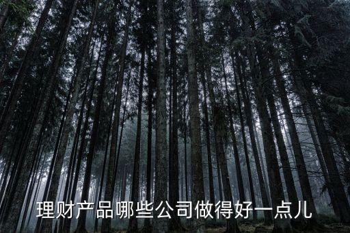 理財(cái)產(chǎn)品哪些公司做得好一點(diǎn)兒