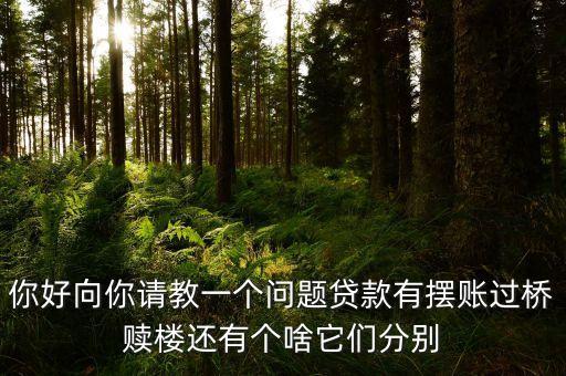 贖樓過橋什么意思，你好向你請教一個問題貸款有擺賬過橋贖樓還有個啥它們分別