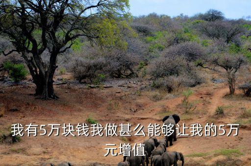 我有5萬塊錢我做甚么能夠讓我的5萬元增值