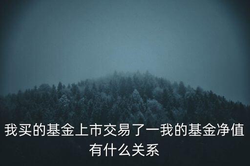 只上市交易的進(jìn)取基金問(wèn)什么還有凈值，我買(mǎi)的基金上市交易了一我的基金凈值有什么關(guān)系