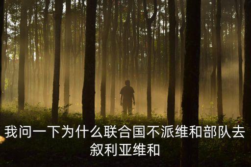 聯(lián)合國(guó)為什么敘利亞，英美法為什么聯(lián)合攻打敘利亞