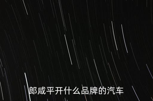 郎咸平開什么車，為什么郎咸平說吉利收購沃爾沃是收購的棄婦