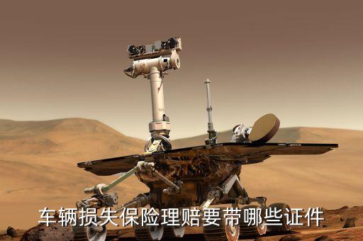 汽車保險理賠車主帶什么證件，車輛保險索賠要帶些什么證件