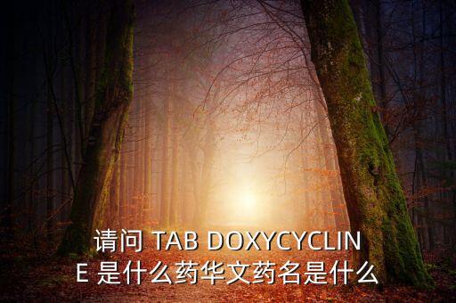 請問 TAB DOXYCYCLINE 是什么藥華文藥名是什么