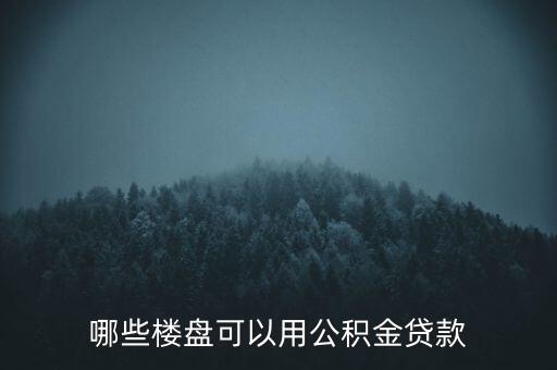 合肥什么房支持公積金貸款，哪些樓盤(pán)可以用公積金貸款