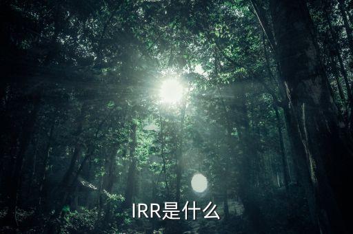 什么是效益導(dǎo)向，IRR是什么