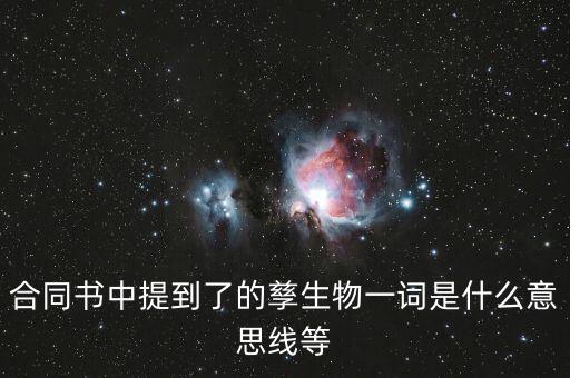 什么叫投資孳生物，孳生物是什么意思
