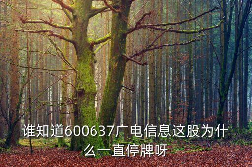 電廣傳媒股是什么時停的牌，誰知道600637廣電信息這股為什么一直停牌呀